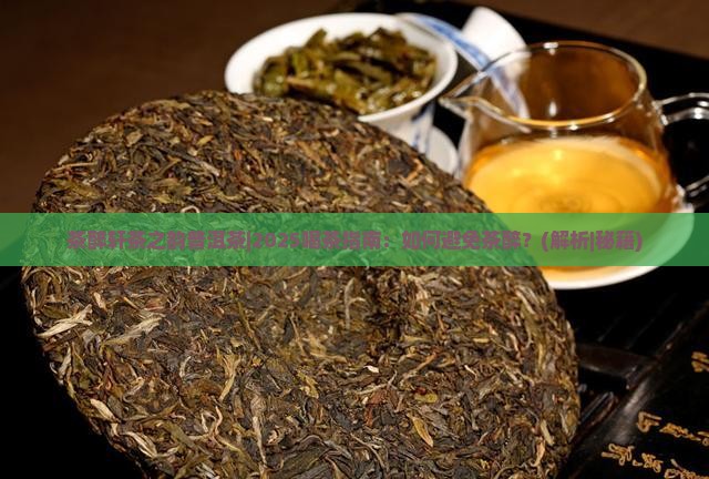 茶醉轩茶之韵普洱茶