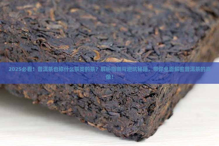 普洱茶也称什么茶类的茶