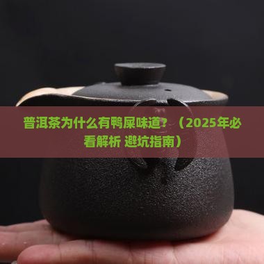 普洱茶为什么有鸭屎味道