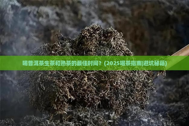 喝普洱茶生茶和熟茶的时间