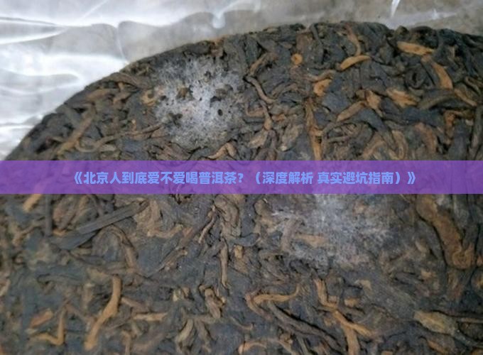 北京人喜欢普洱茶吗