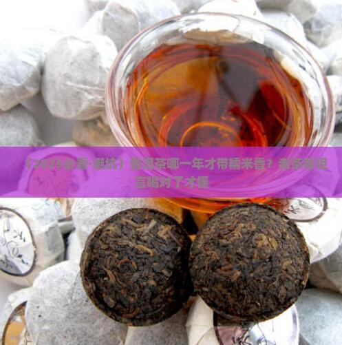 普洱茶什么年份才有糯米