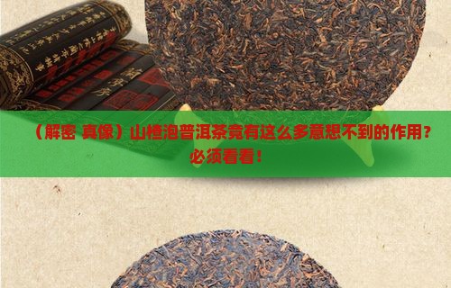 山楂泡普洱茶有何作用呢