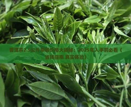 普洱茶2.5公斤茶砖是多少