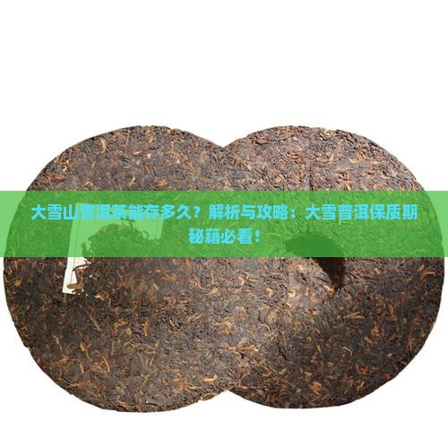 大雪山普洱茶能存多久
