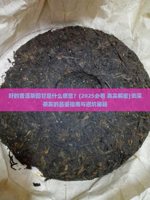 好的普洱茶回甘是什么感觉