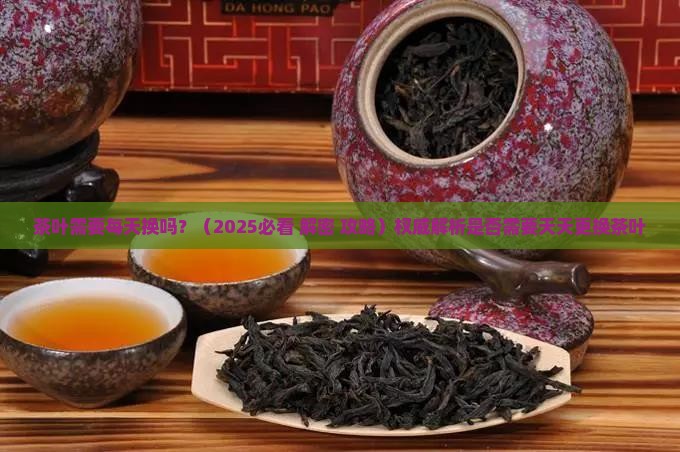 茶叶需要每天换吗