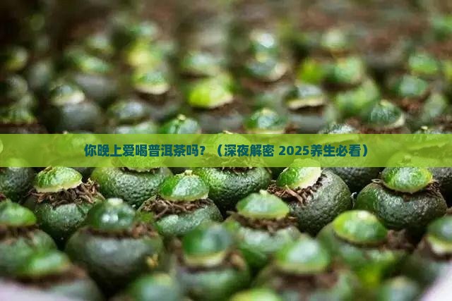 喜欢晚上喝普洱茶吗