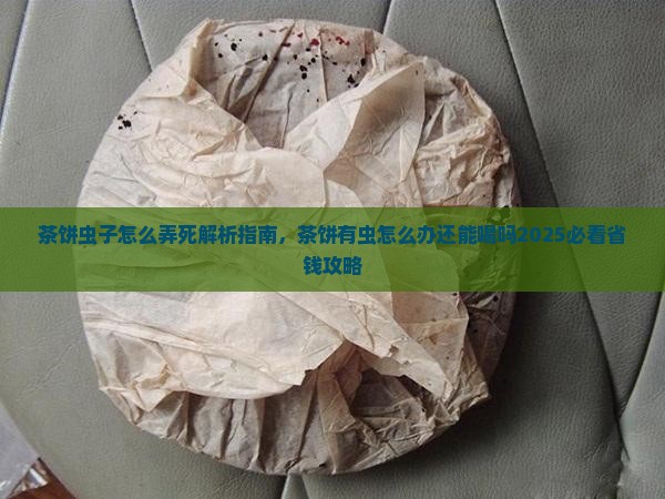 茶饼虫子怎么弄死