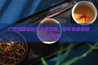 广州普洱茶检测最权威的地方