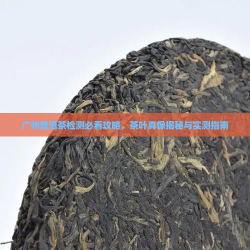 广州普洱茶检测最权威的地方