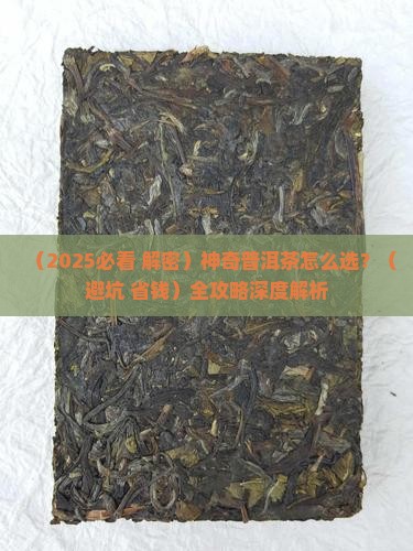 对神奇的普洱茶建议