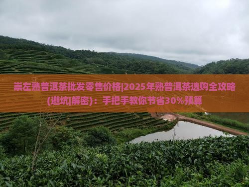 崇左熟普洱茶批发零售价格