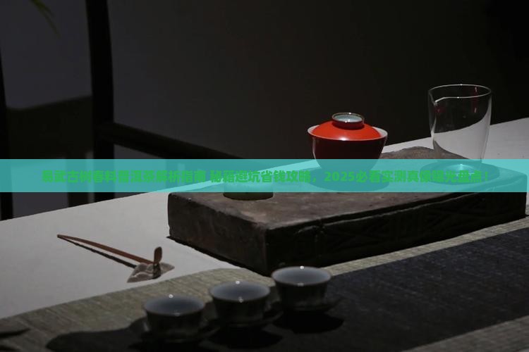 易武古树春料普洱茶