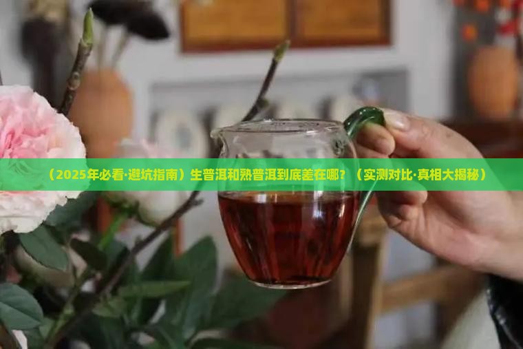 生普洱和熟普洱茶的区别在哪