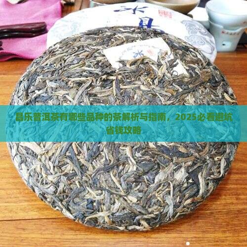 昌乐普洱茶有哪些品种的