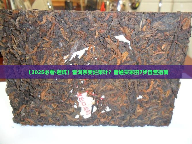 普洱茶出现烂菜叶子