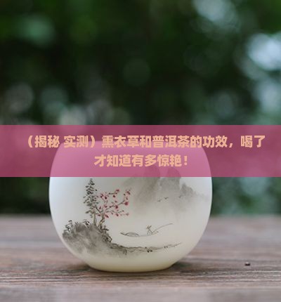熏衣草和普洱茶的功效
