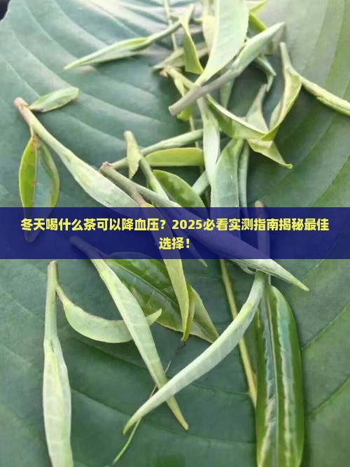 冬天喝什么茶可以降血压