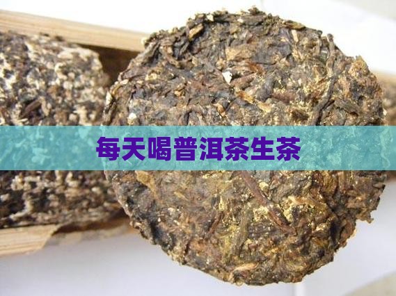 每天喝普洱茶生茶
