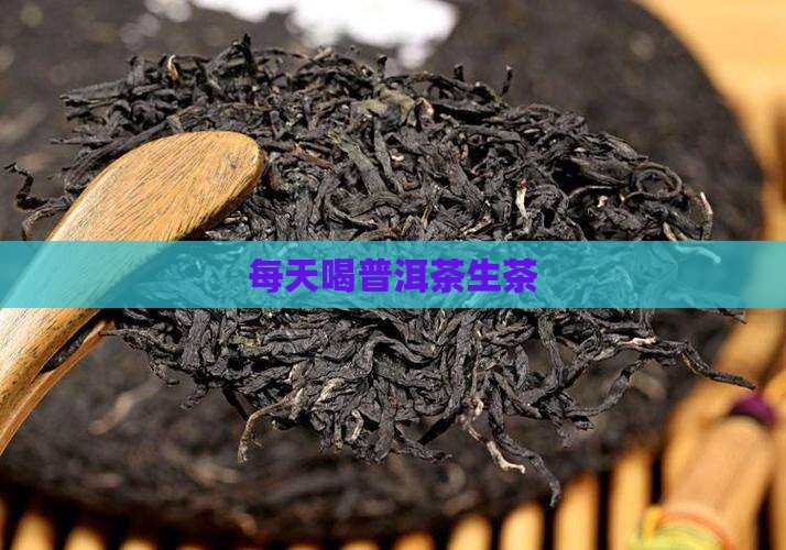 每天喝普洱茶生茶