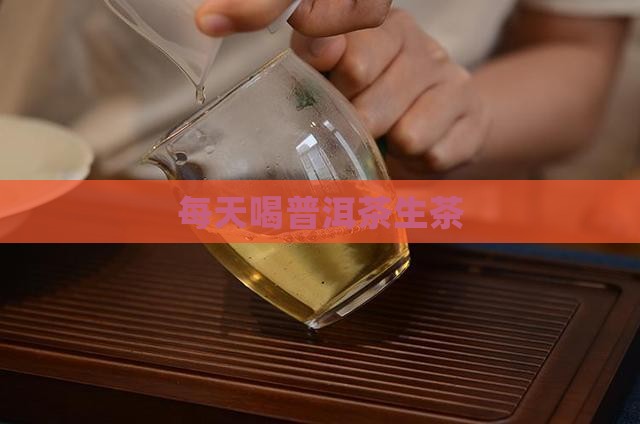每天喝普洱茶生茶