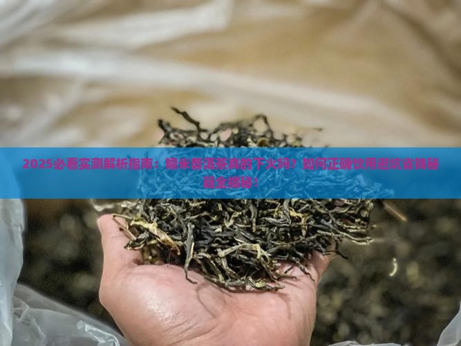 糯米普洱茶下火吗