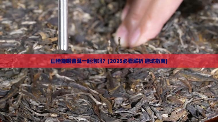 山楂能喝普洱一起泡吗