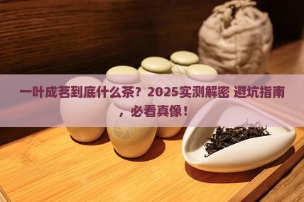 一叶成茗是什么茶