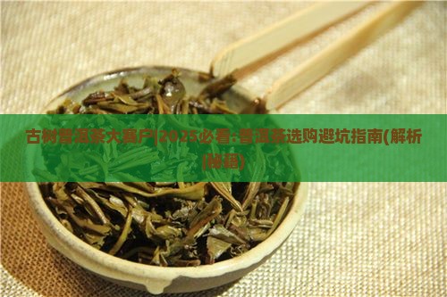 古树普洱茶大赛户