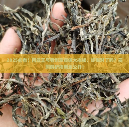 班章王与老班章是两种茶吗