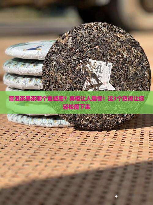 普洱茶黑茶哪个更减肥