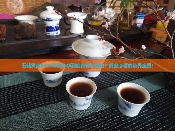五峰贡茶2021年嘉年华