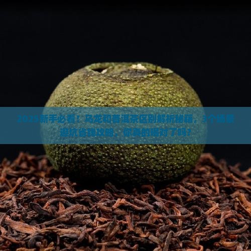 乌龙和普洱茶的区别