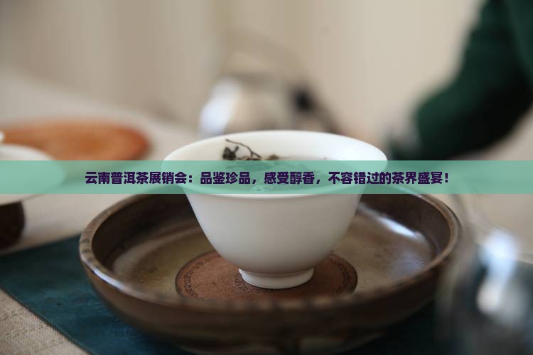 云南普洱茶展销会