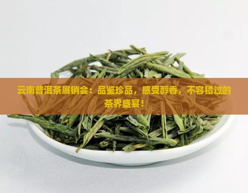 云南普洱茶展销会