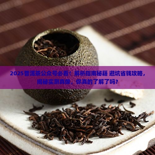 普洱茶公众号有什么
