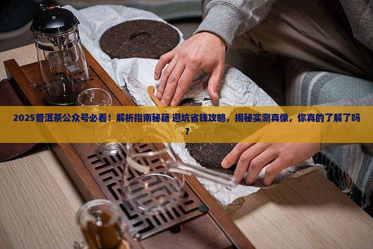 普洱茶公众号有什么