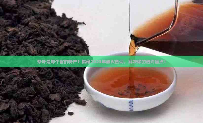 茶叶是哪个省的特产
