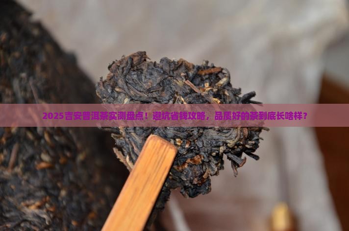 吉安品质好的普洱茶
