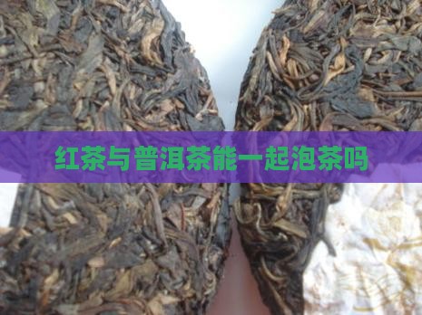 红茶与普洱茶能一起泡茶吗