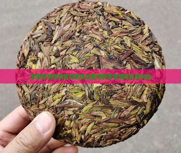 爱雪的茶普洱茶