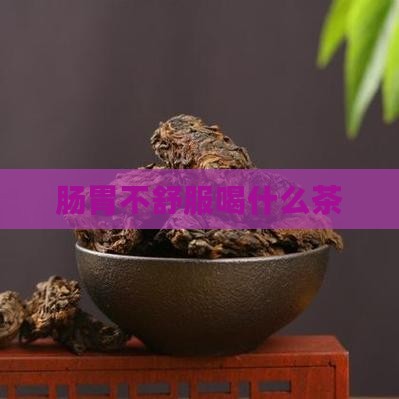 肠胃不舒服喝什么茶