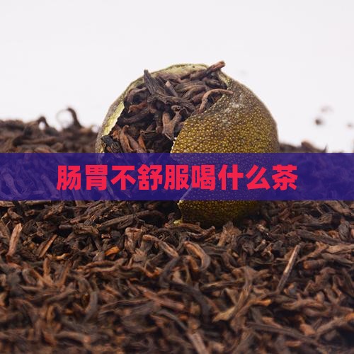 肠胃不舒服喝什么茶