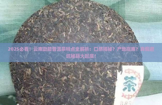 云南勐腊普洱茶特点介绍