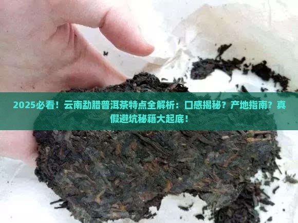 云南勐腊普洱茶特点介绍