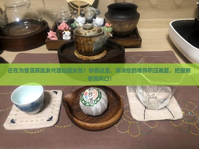 普洱茶批发代理加盟