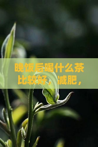 晚饭后喝什么茶比较好