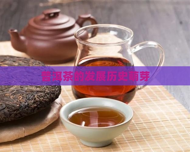 普洱茶的发展历史中萌芽