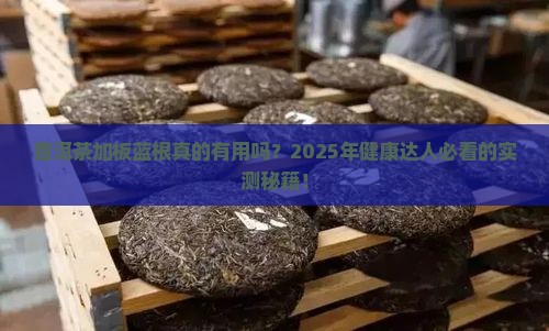 普洱茶加板蓝根有用吗